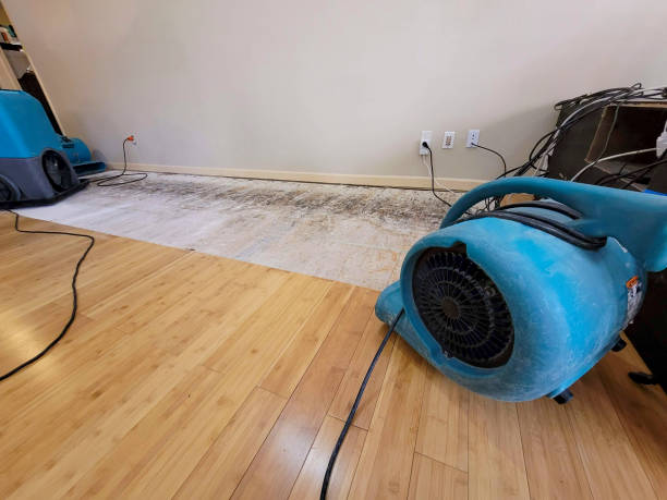 Professional Flood Damage Cleanup technician working in Christmas, FL